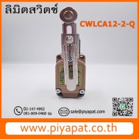 CWLCA12-2-Q รูปโชว์